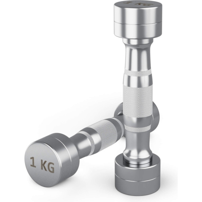 Гантель UNIX FIT PRO круглая хромированная 1 кг, 2 шт. DBRND1PCEx2